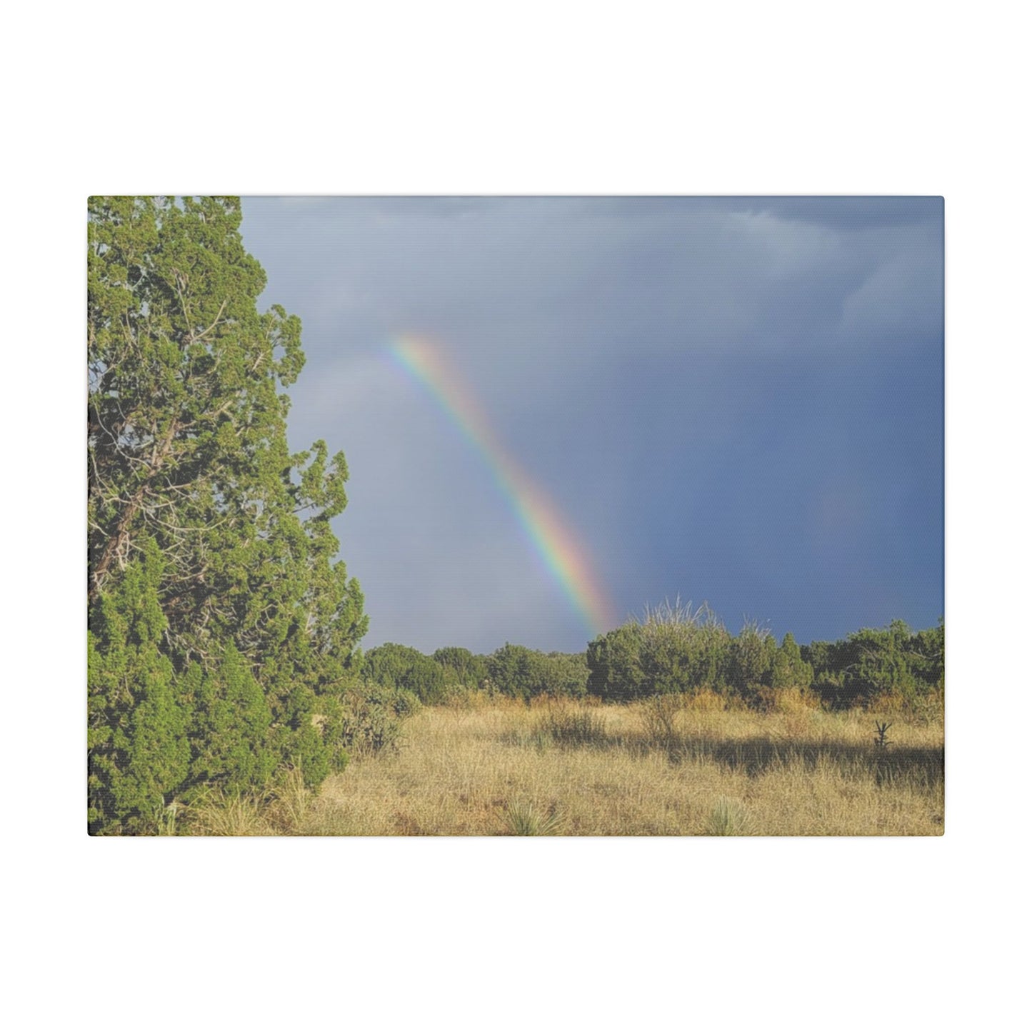 Canvas Print in Multiple Landscape Sizes from the Rainbow Series at Intriguing Vistas