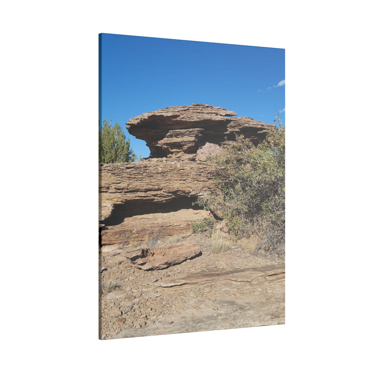 Canvas Print in Multiple Portrait Sizes from the Scenery Series at Intriguing Vistas