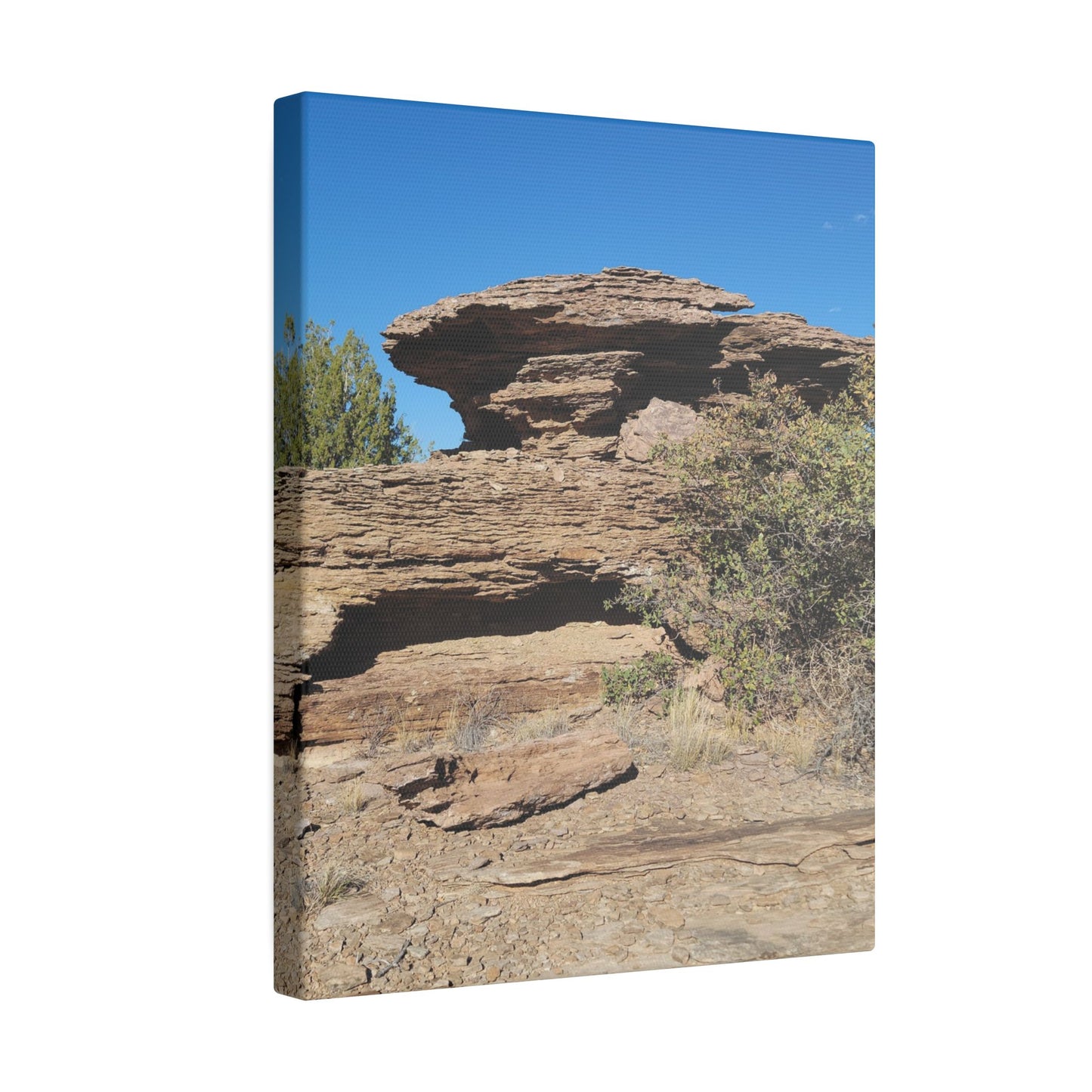 Canvas Print in Multiple Portrait Sizes from the Scenery Series at Intriguing Vistas