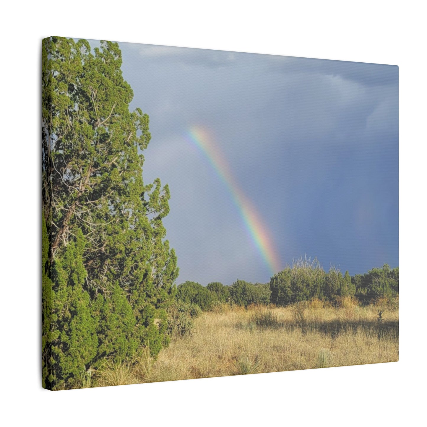 Canvas Print in Multiple Landscape Sizes from the Rainbow Series at Intriguing Vistas