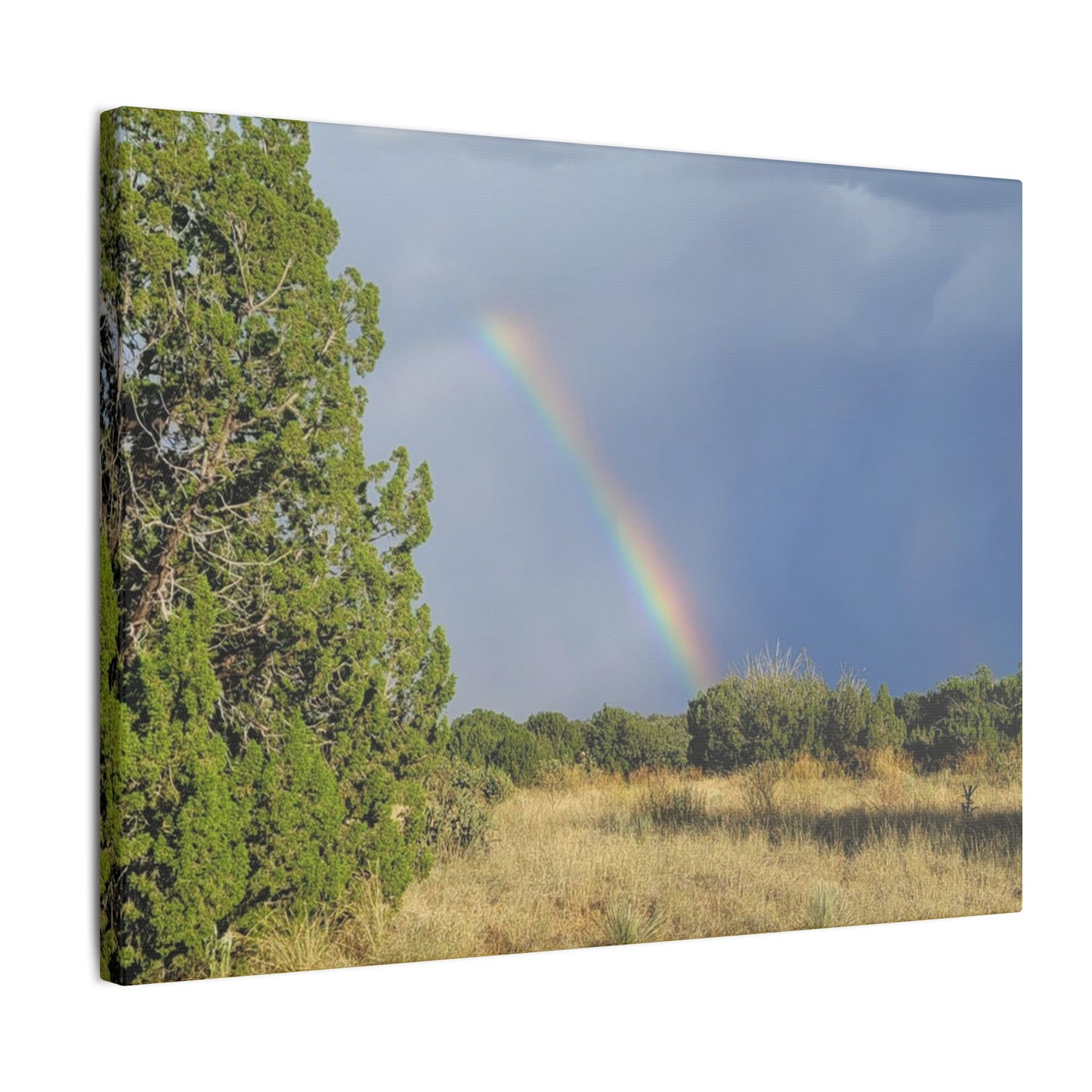 Canvas Print in Multiple Landscape Sizes from the Rainbow Series at Intriguing Vistas