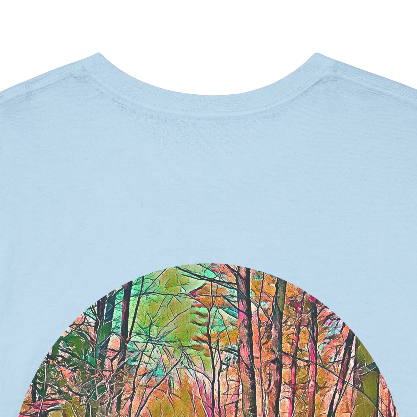 Gildan 5000 Unisex Adult Heavy Cotton Tee Available In Multiple Colors from the Scenery Series at Intriguing Vistas