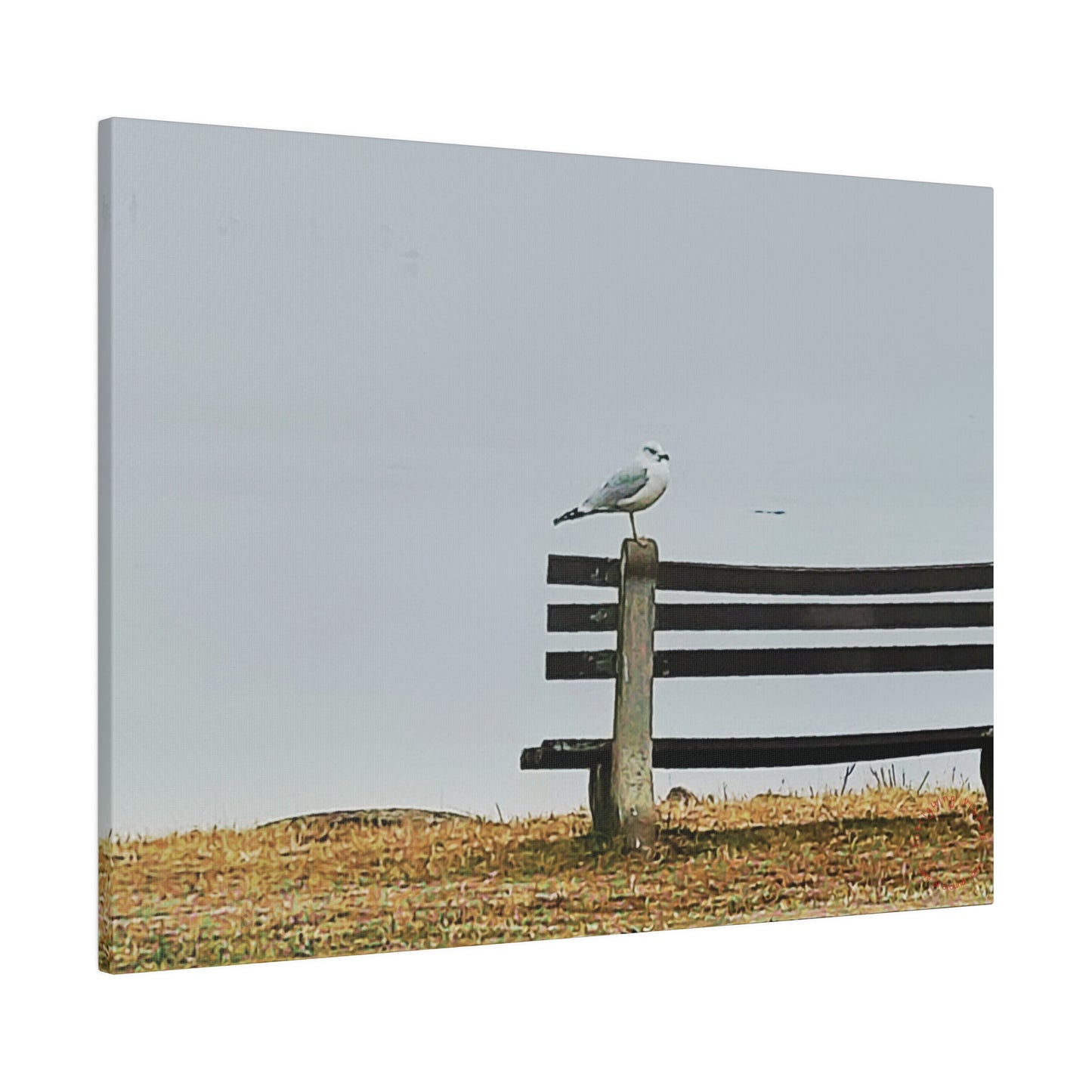 Intriguing Vistas™ Wildlife Series Matte Canvas Print in 12 Landscape Sizes!!