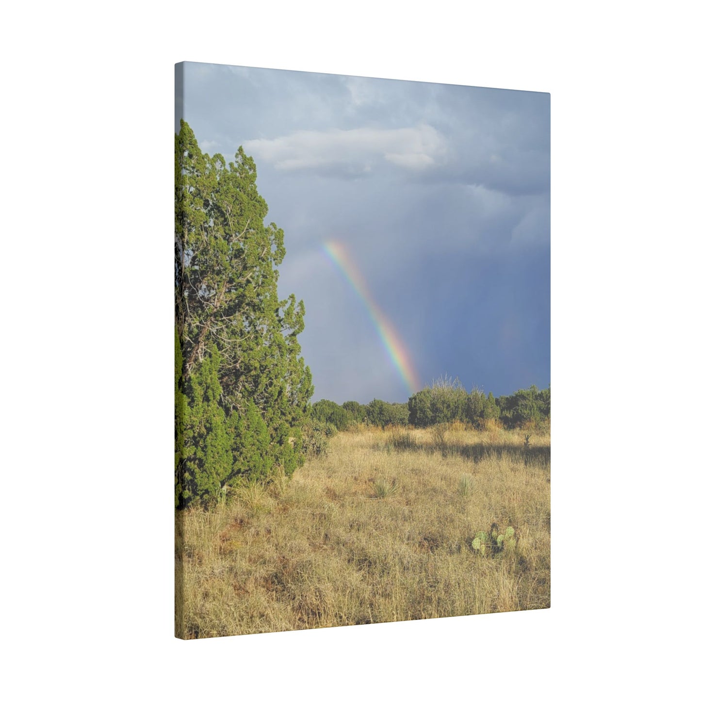 Canvas Print in Multiple Portrait Sizes from the Rainbow Series at Intriguing Vistas