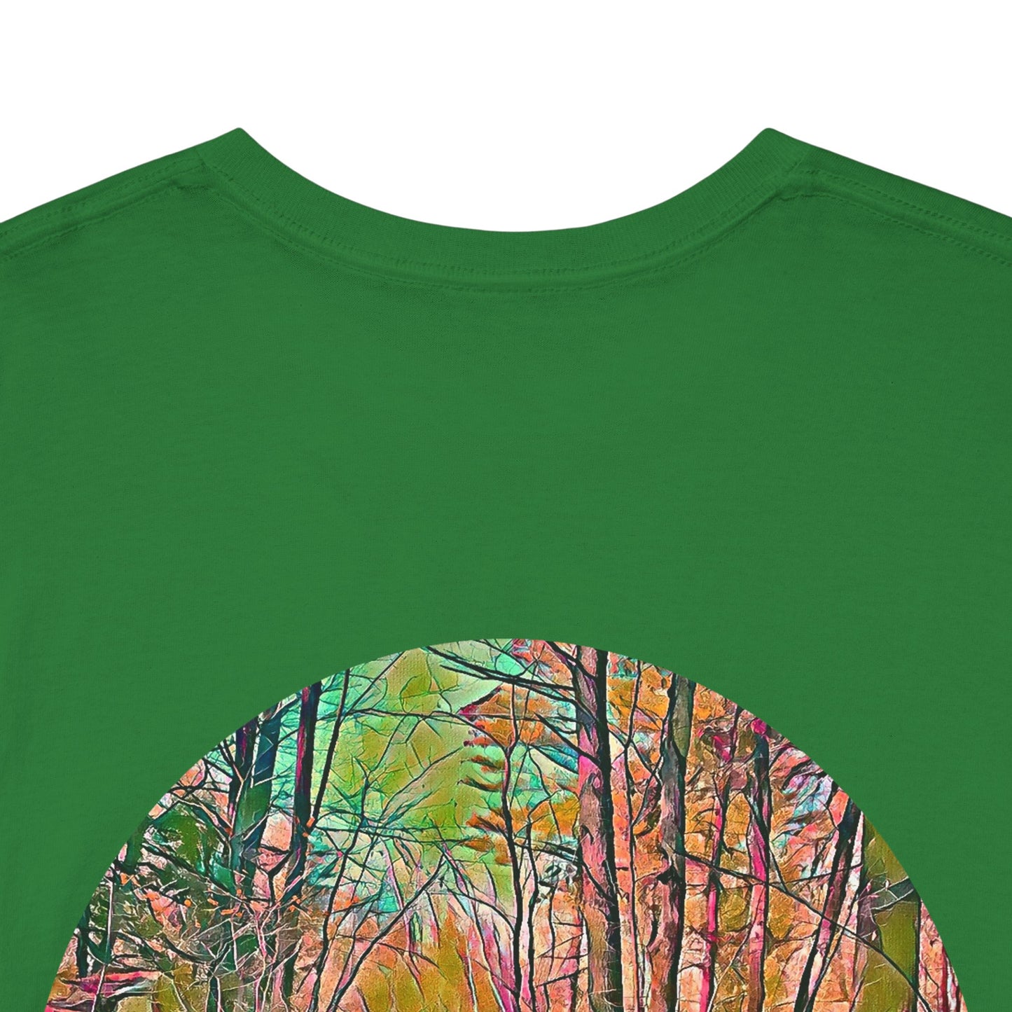 Gildan 5000 Unisex Adult Heavy Cotton Tee Available In Multiple Colors from the Scenery Series at Intriguing Vistas