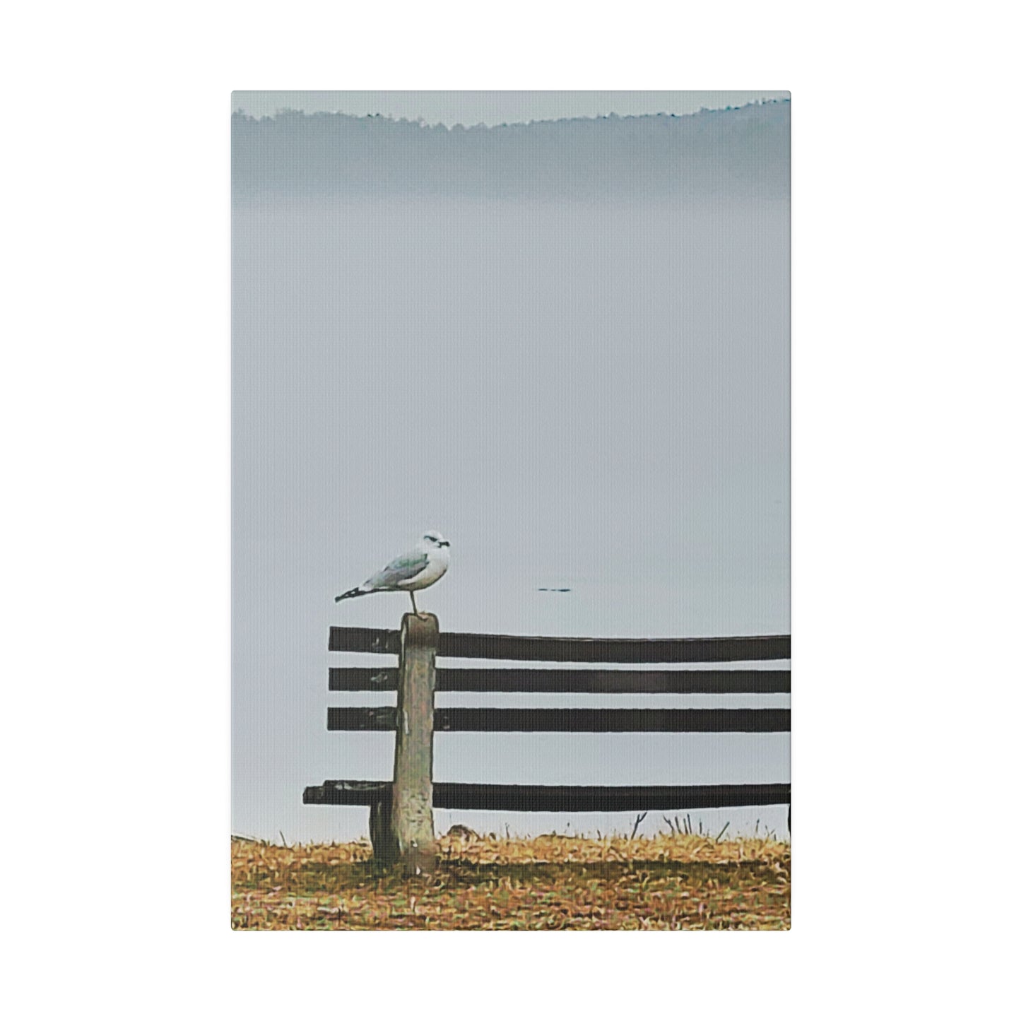 Canvas Print in Multiple Portrait Sizes from the Wildlife Series at Intriguing Vistas