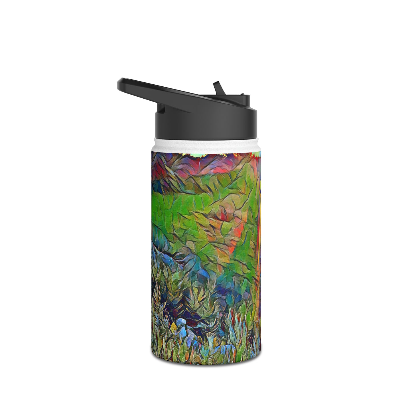 Intriguing Vistas™ Sunset Series Stainless Steel Water Bottle, Standard Lid