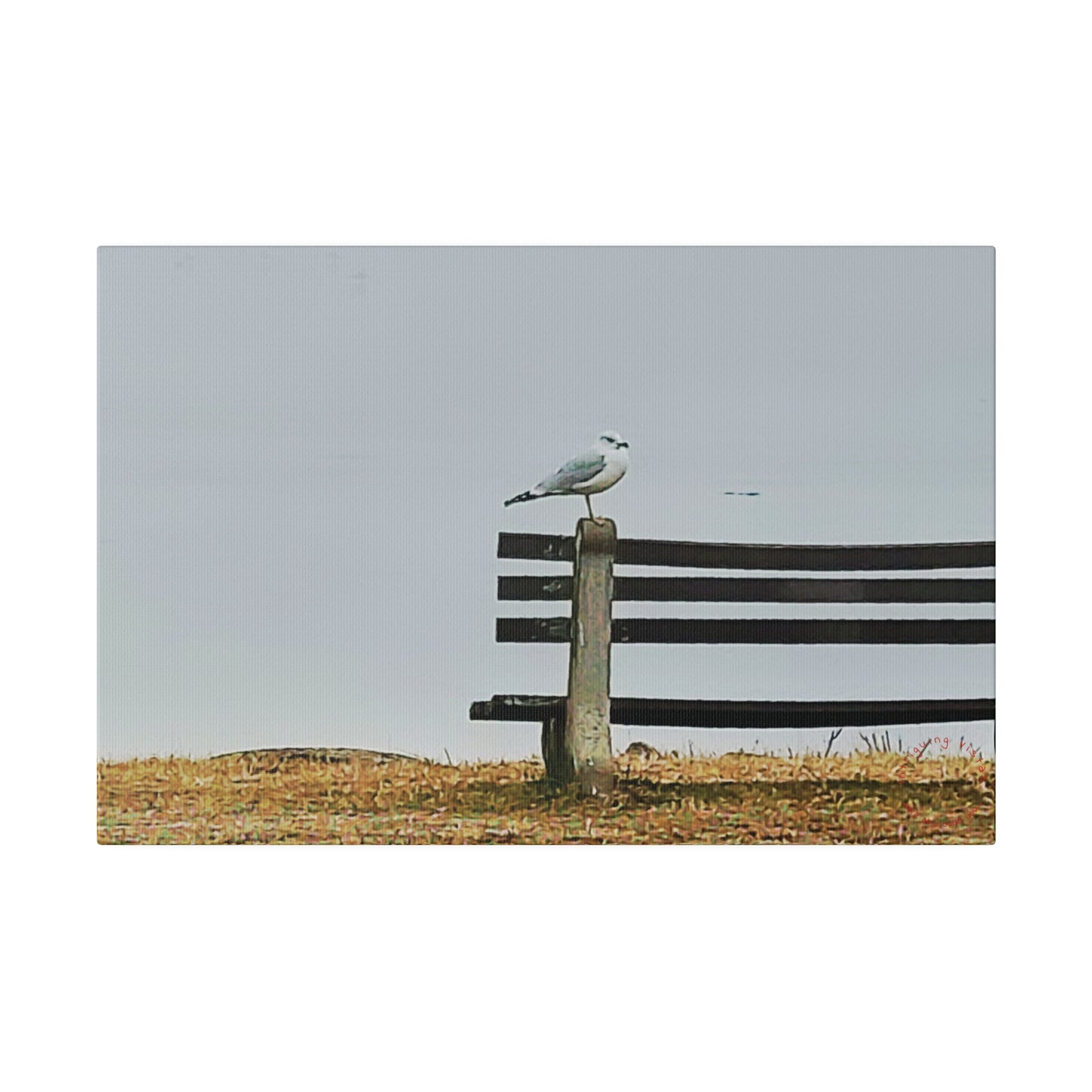 Intriguing Vistas™ Wildlife Series Matte Canvas Print in 12 Landscape Sizes!!