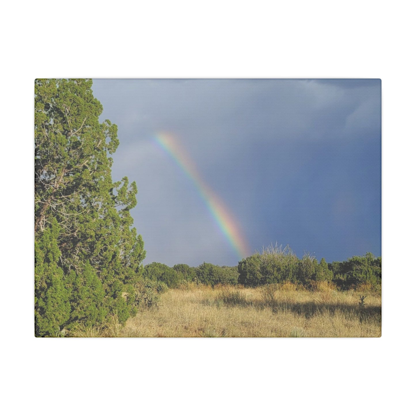 Canvas Print in Multiple Landscape Sizes from the Rainbow Series at Intriguing Vistas