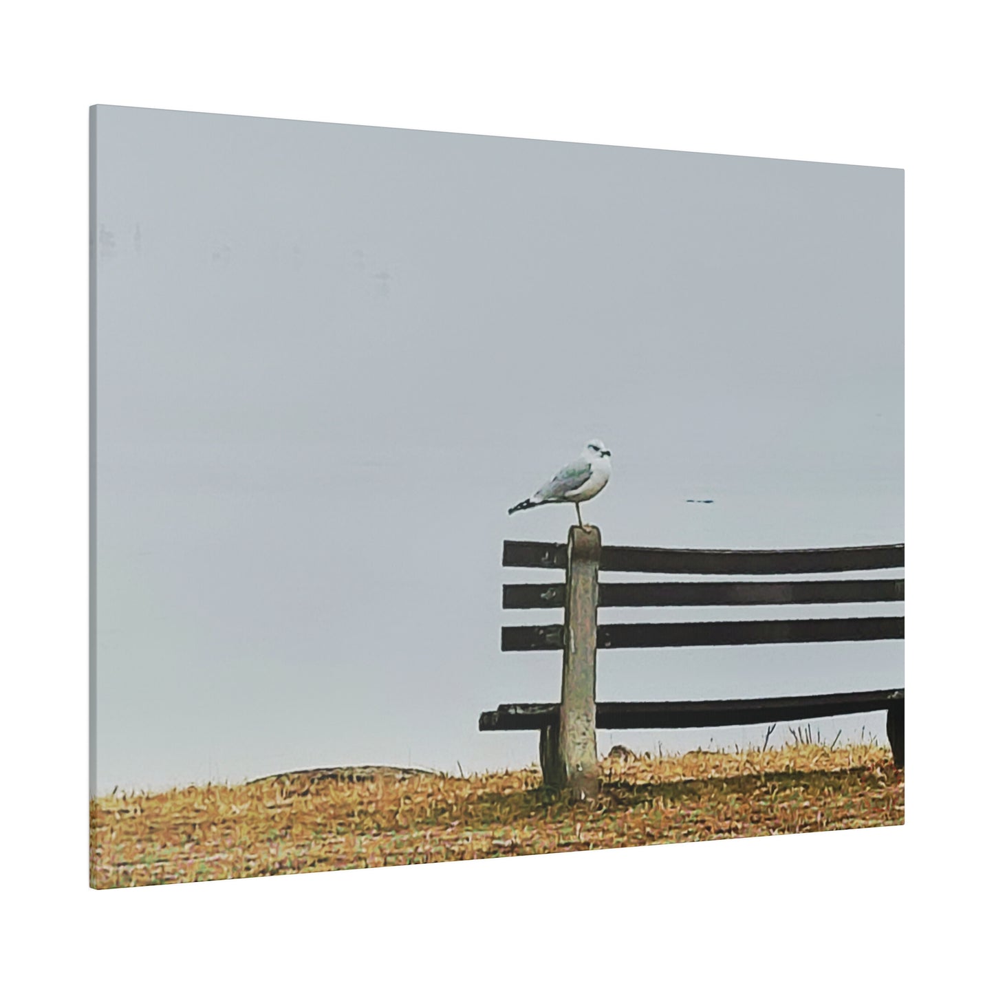 Intriguing Vistas™ Wildlife Series Matte Canvas Print in 12 Landscape Sizes!!