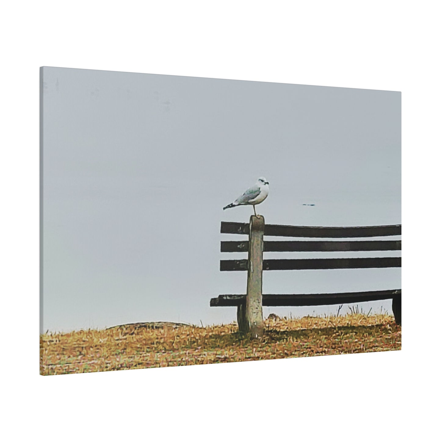 Intriguing Vistas™ Wildlife Series Matte Canvas Print in 12 Landscape Sizes!!