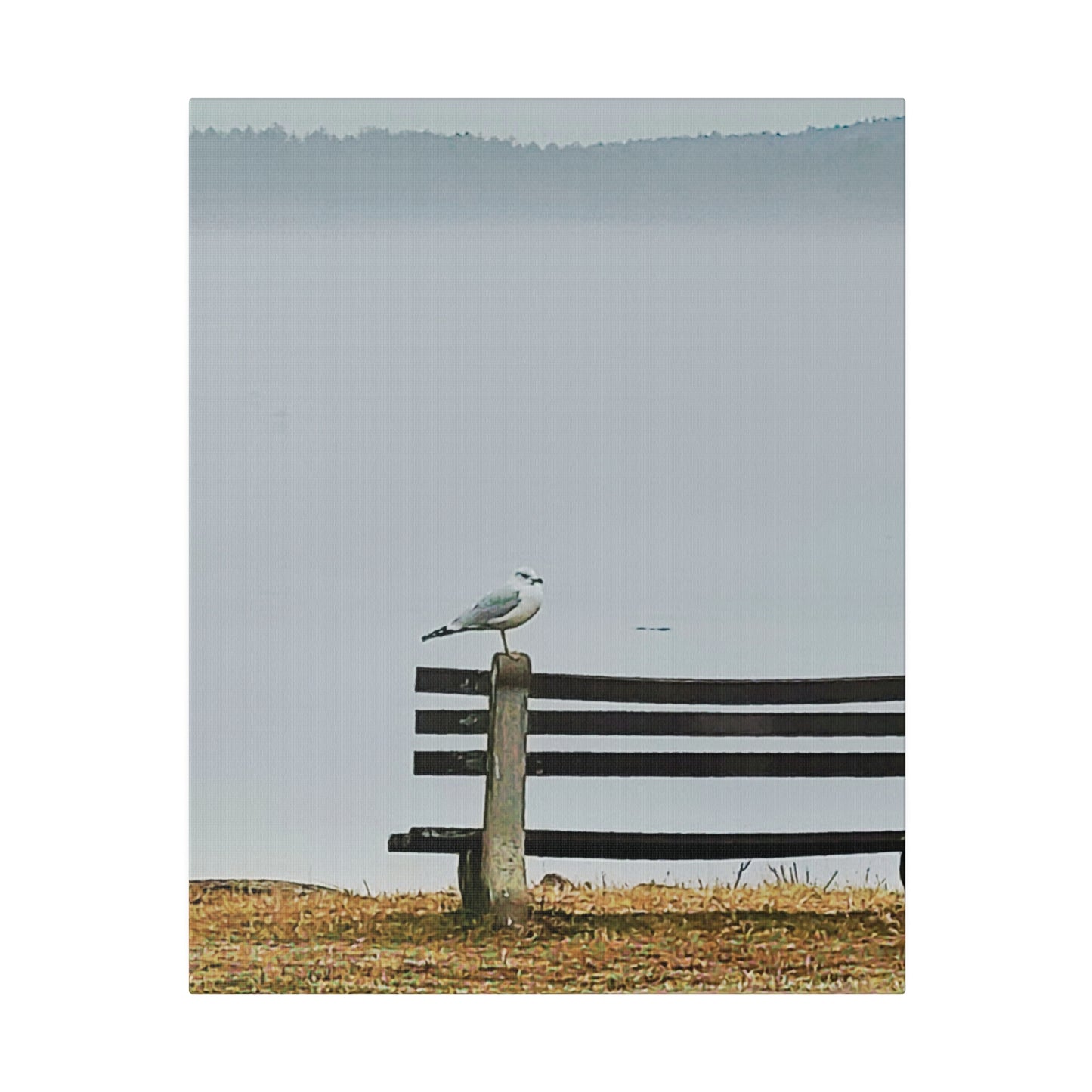 Canvas Print in Multiple Portrait Sizes from the Wildlife Series at Intriguing Vistas