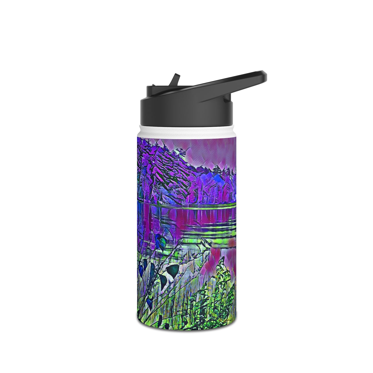 Intriguing Vistas™ Series Stainless Steel Water Bottle, Standard Lid