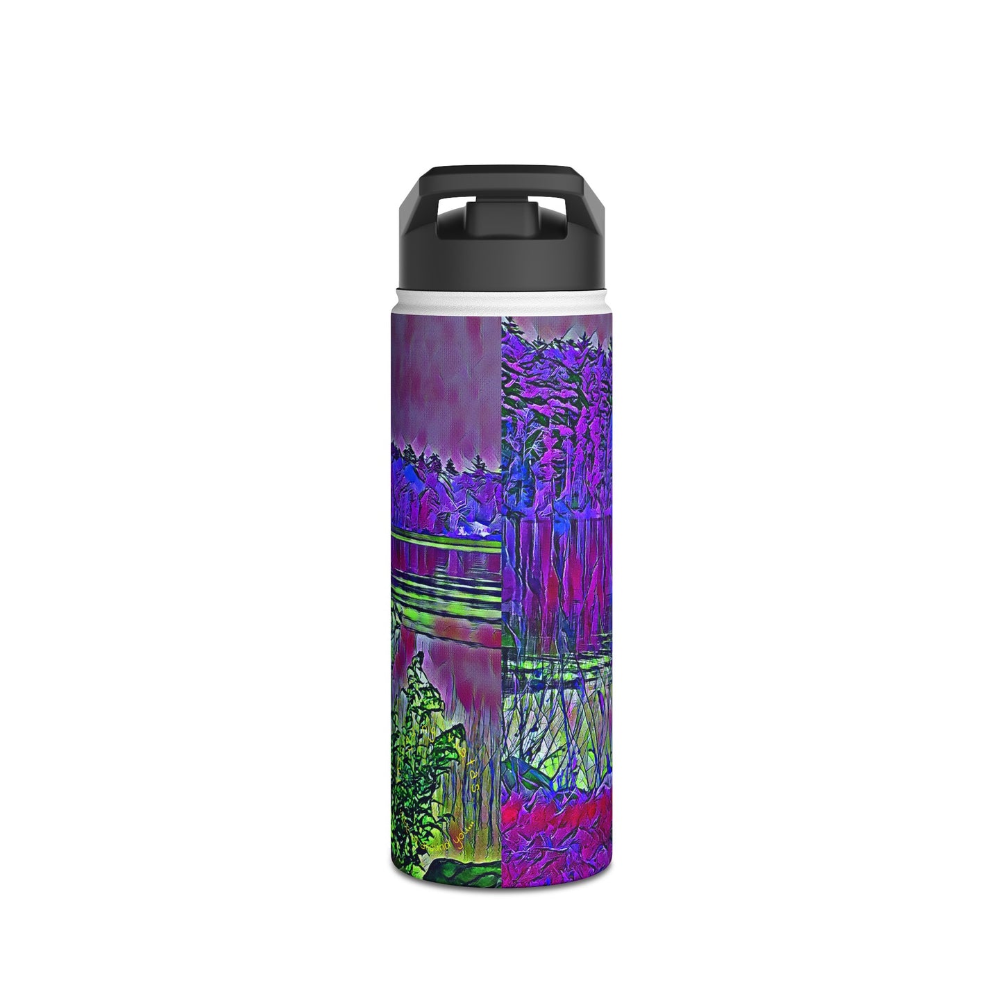 Intriguing Vistas™ Series Stainless Steel Water Bottle, Standard Lid