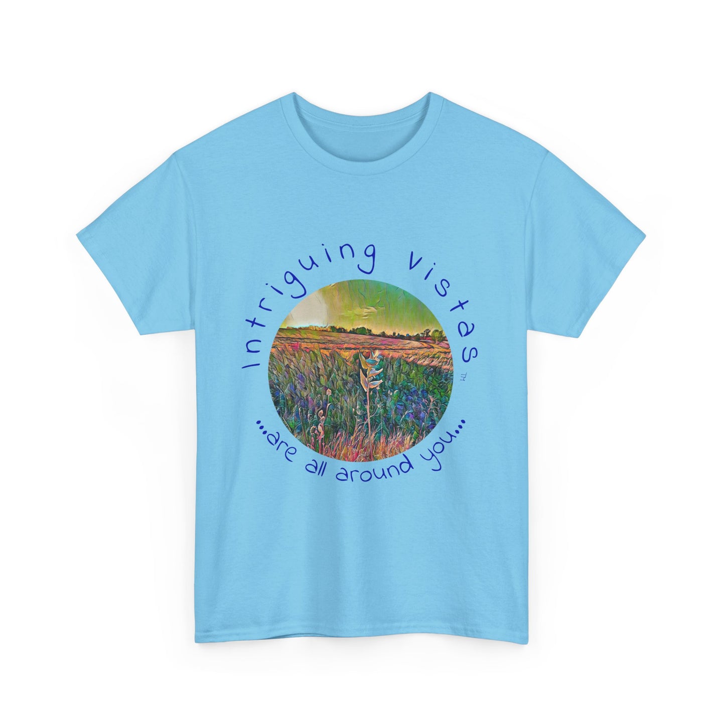 Gildan 5000 Unisex Adult Heavy Cotton Tee from the Scenery Series at Intriguing Vistas