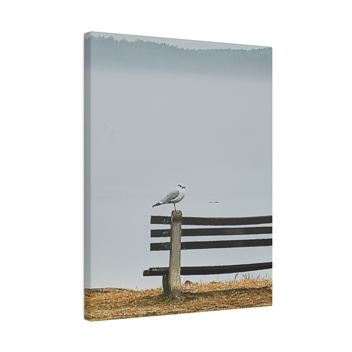 Intriguing Vistas™ Wildlife Series Matte Canvas Print in 12 Portrait Sizes!!