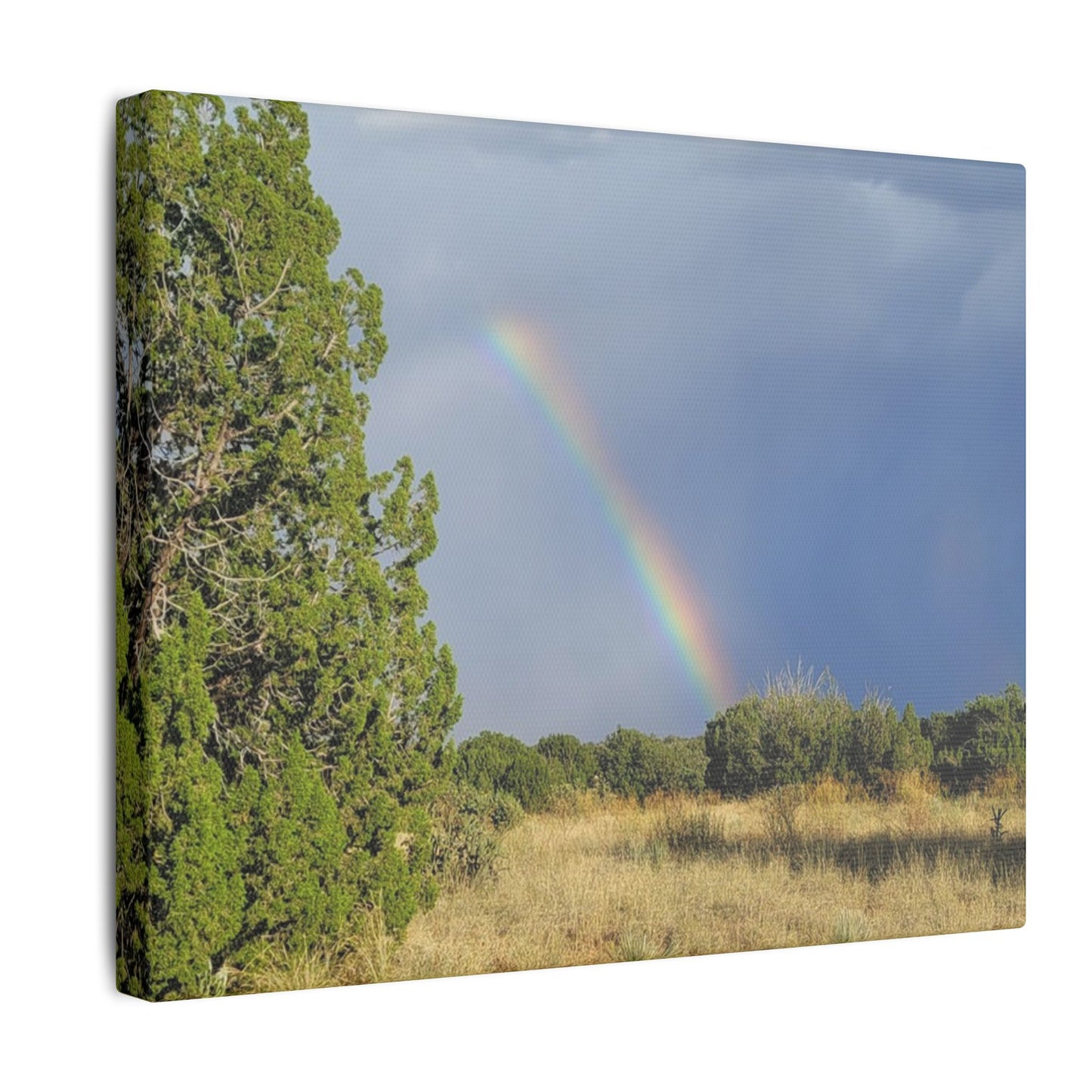 Canvas Print in Multiple Landscape Sizes from the Rainbow Series at Intriguing Vistas