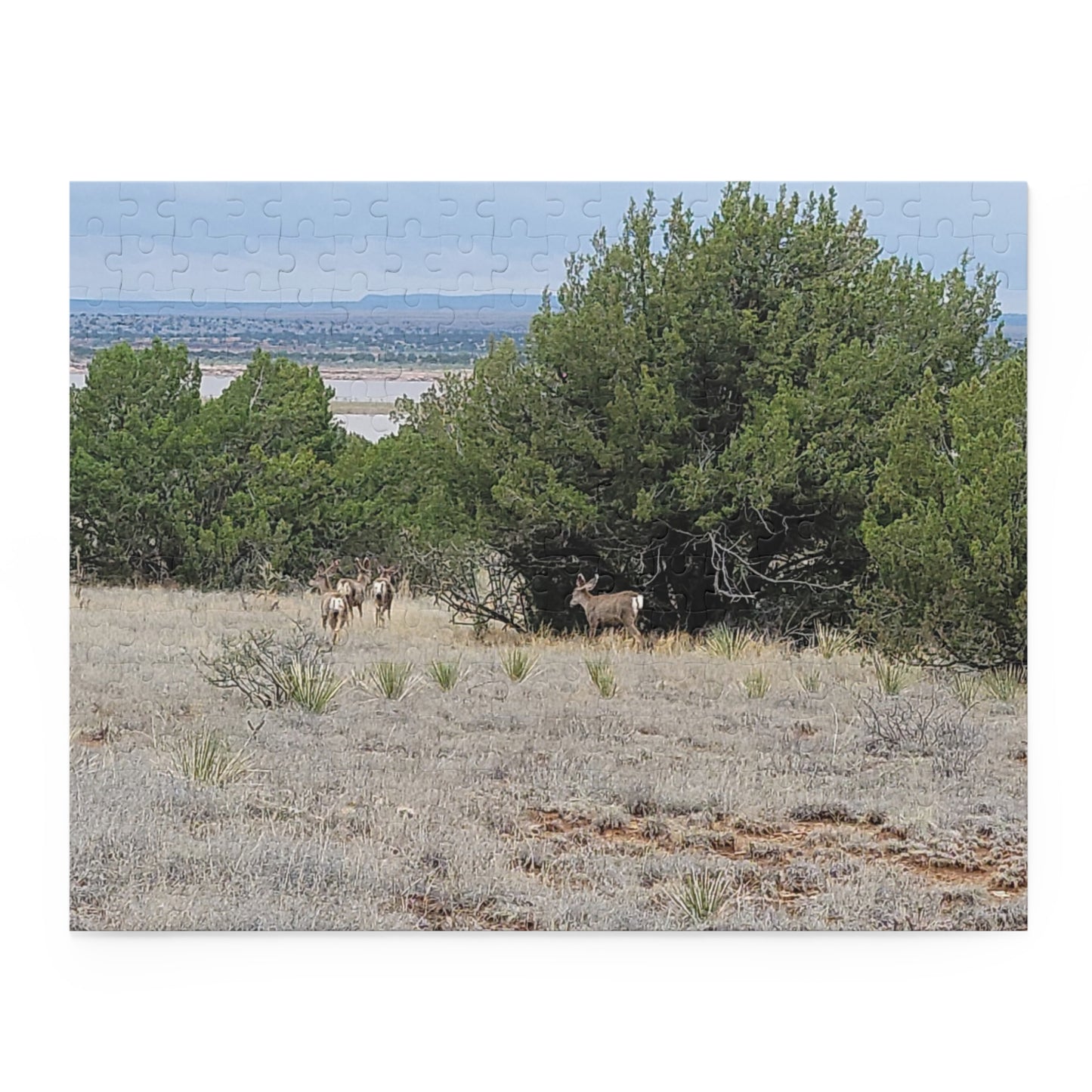 Copy of Intriguing Vistas™ Wildlife Series Jigsaw Puzzle