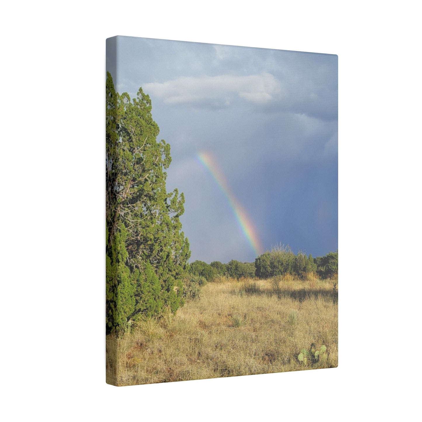 Canvas Print in Multiple Portrait Sizes from the Rainbow Series at Intriguing Vistas