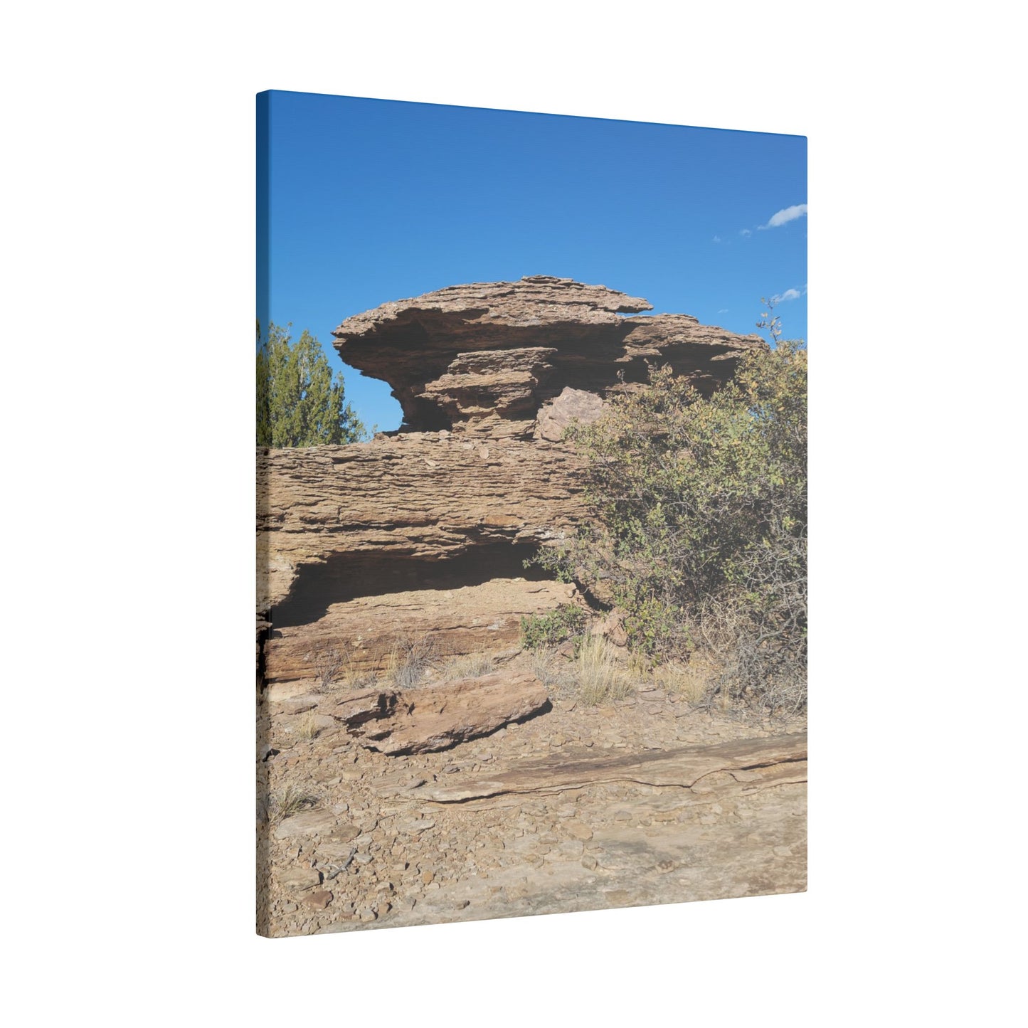 Canvas Print in Multiple Portrait Sizes from the Scenery Series at Intriguing Vistas