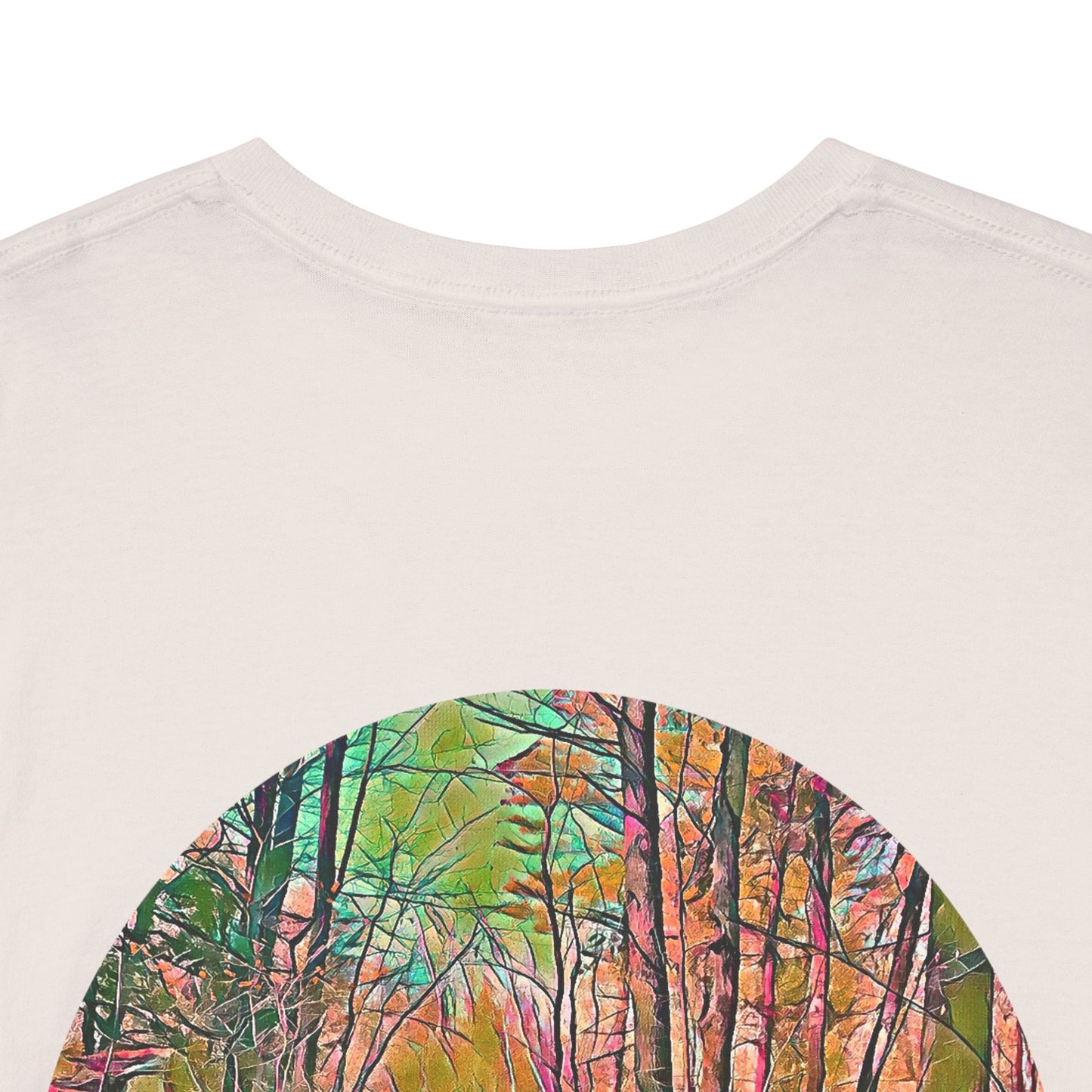 Gildan 5000 Unisex Adult Heavy Cotton Tee Available In Multiple Colors from the Scenery Series at Intriguing Vistas