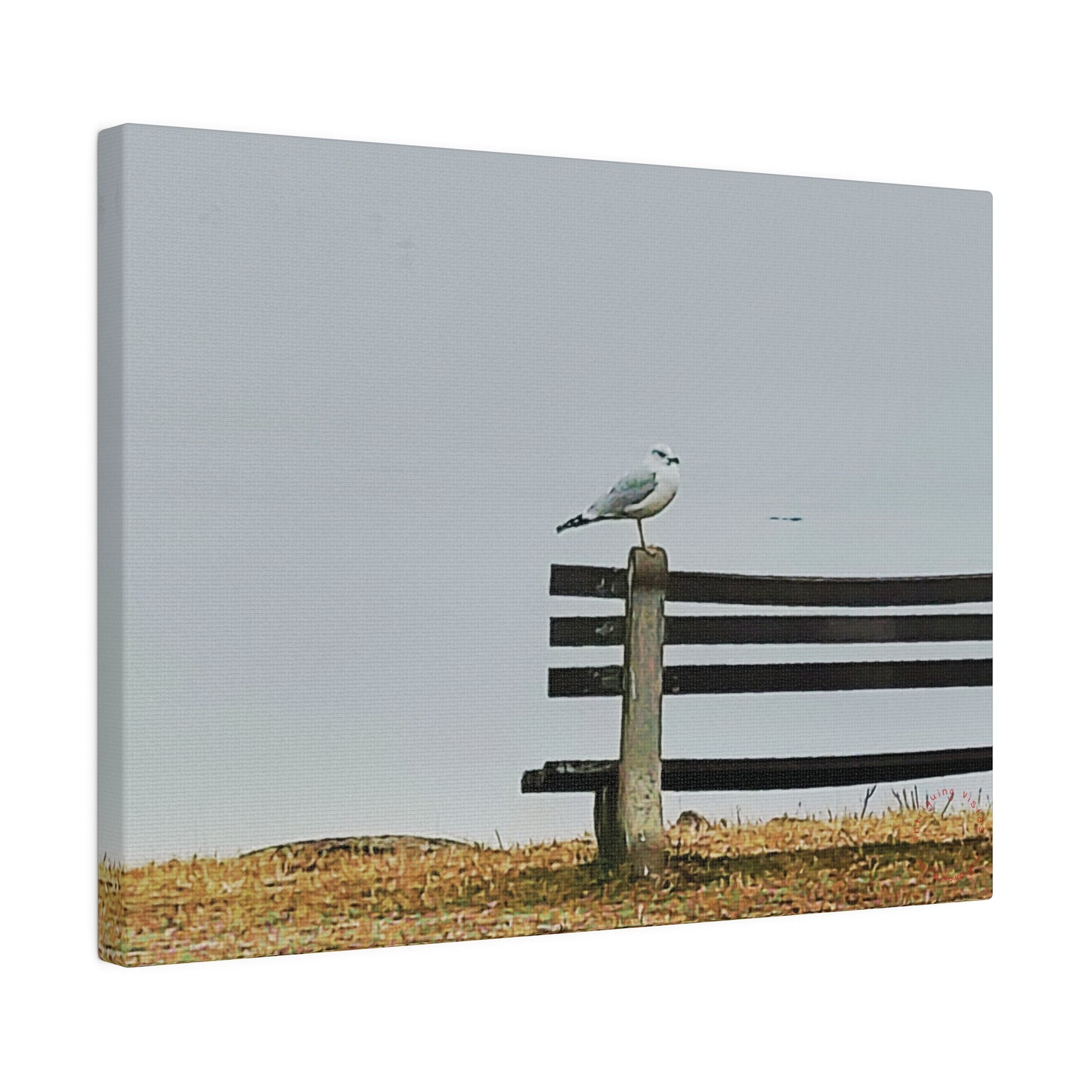 Intriguing Vistas™ Wildlife Series Matte Canvas Print in 12 Landscape Sizes!!