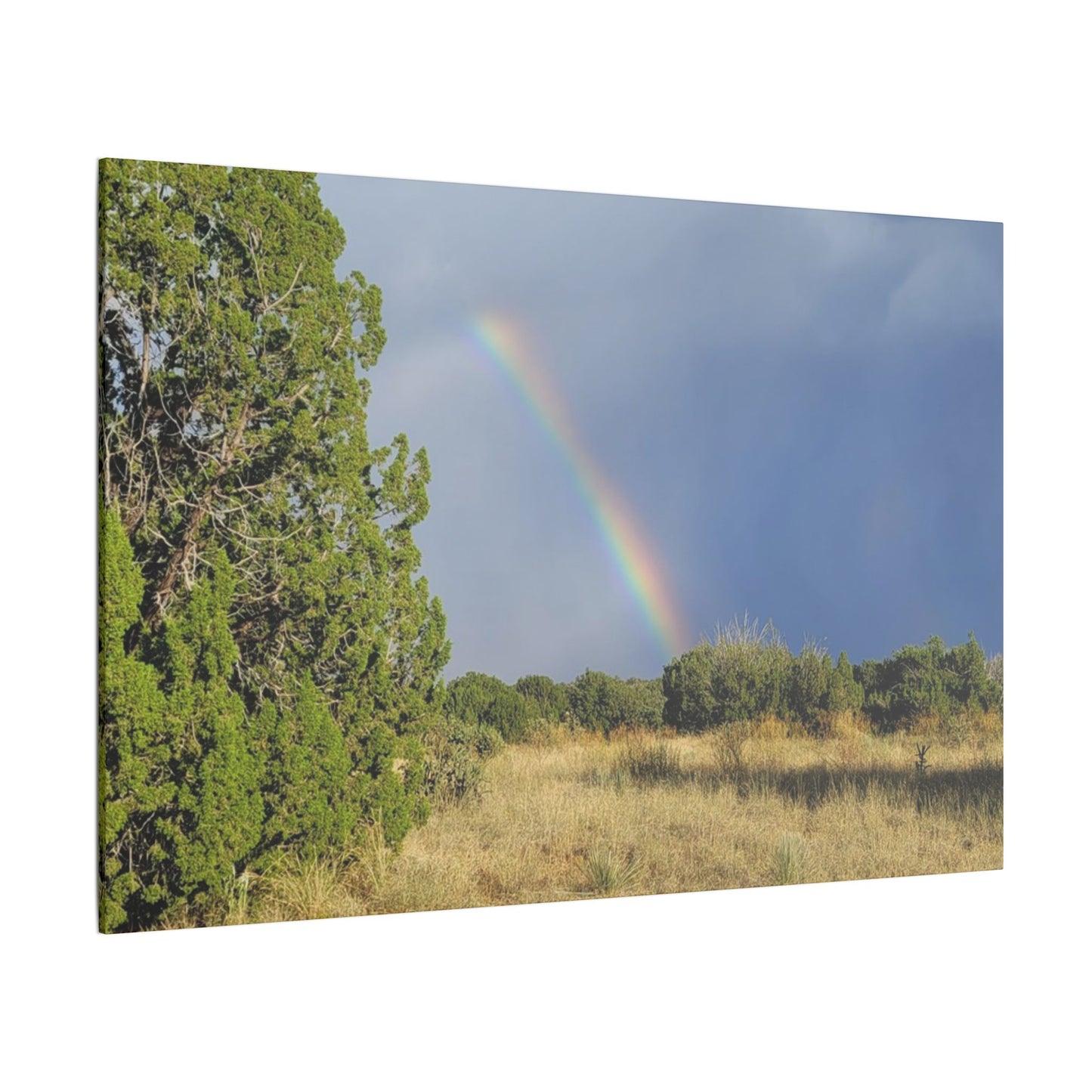 Canvas Print in Multiple Landscape Sizes from the Rainbow Series at Intriguing Vistas