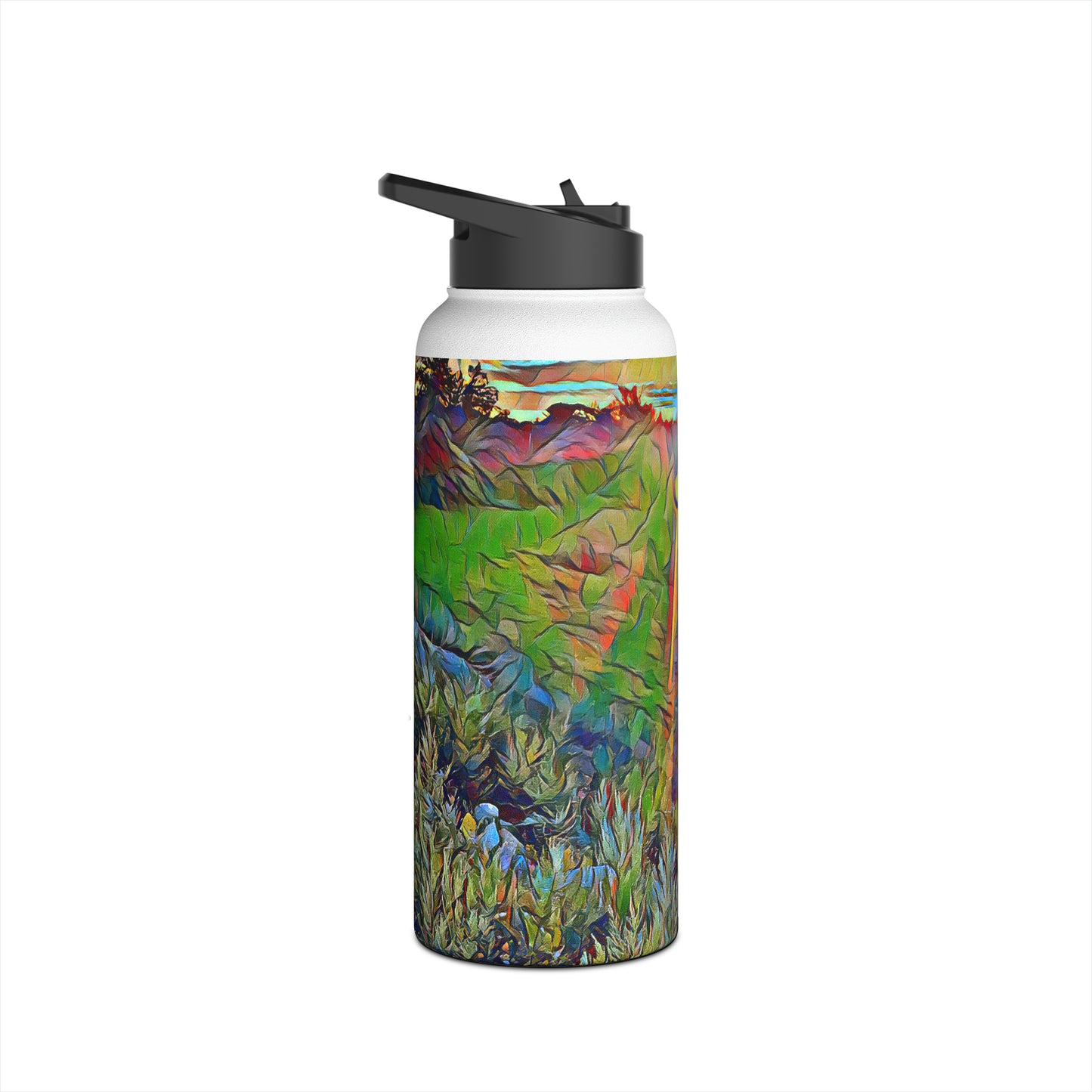 Intriguing Vistas™ Sunset Series Stainless Steel Water Bottle, Standard Lid