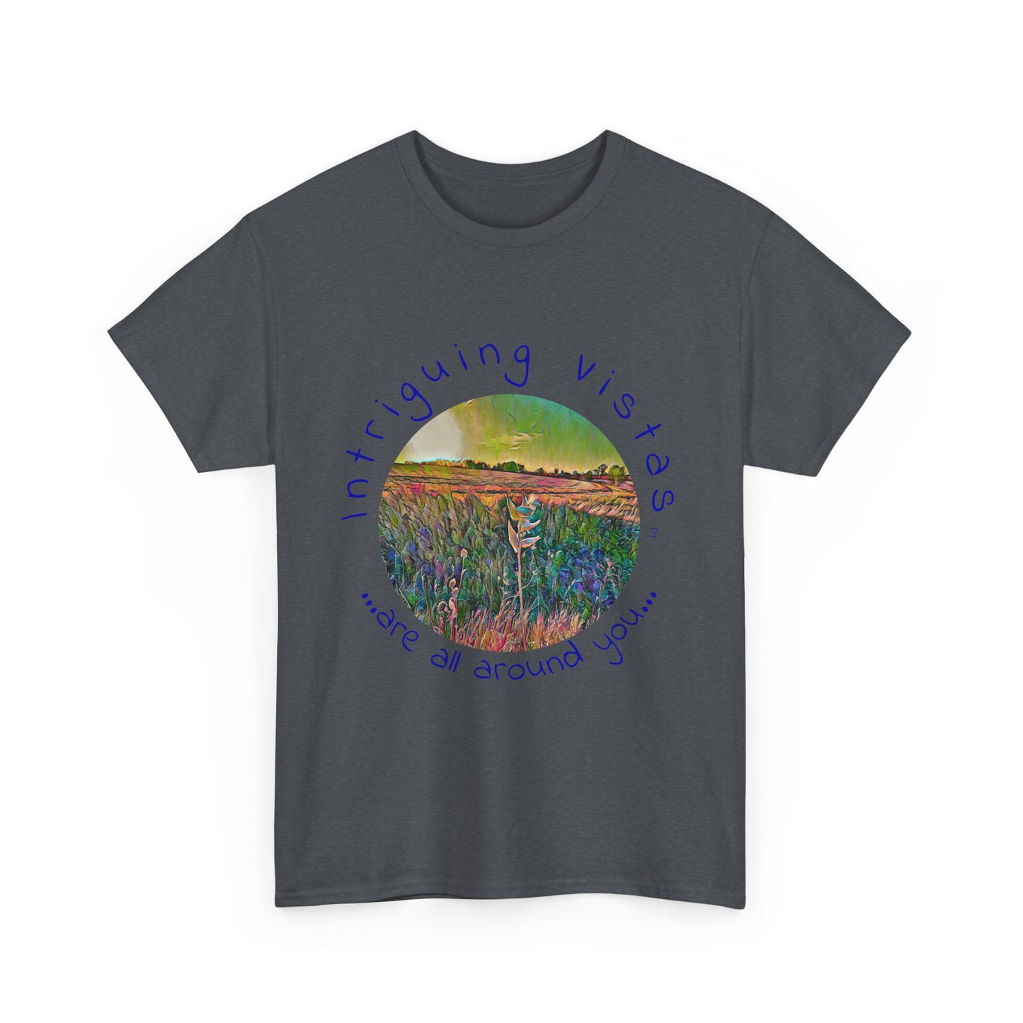 Gildan 5000 Unisex Adult Heavy Cotton Tee from the Scenery Series at Intriguing Vistas