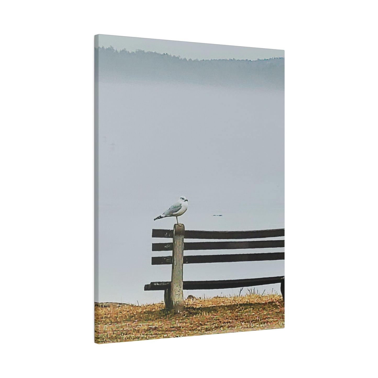 Intriguing Vistas™ Wildlife Series Matte Canvas Print in 12 Portrait Sizes!!