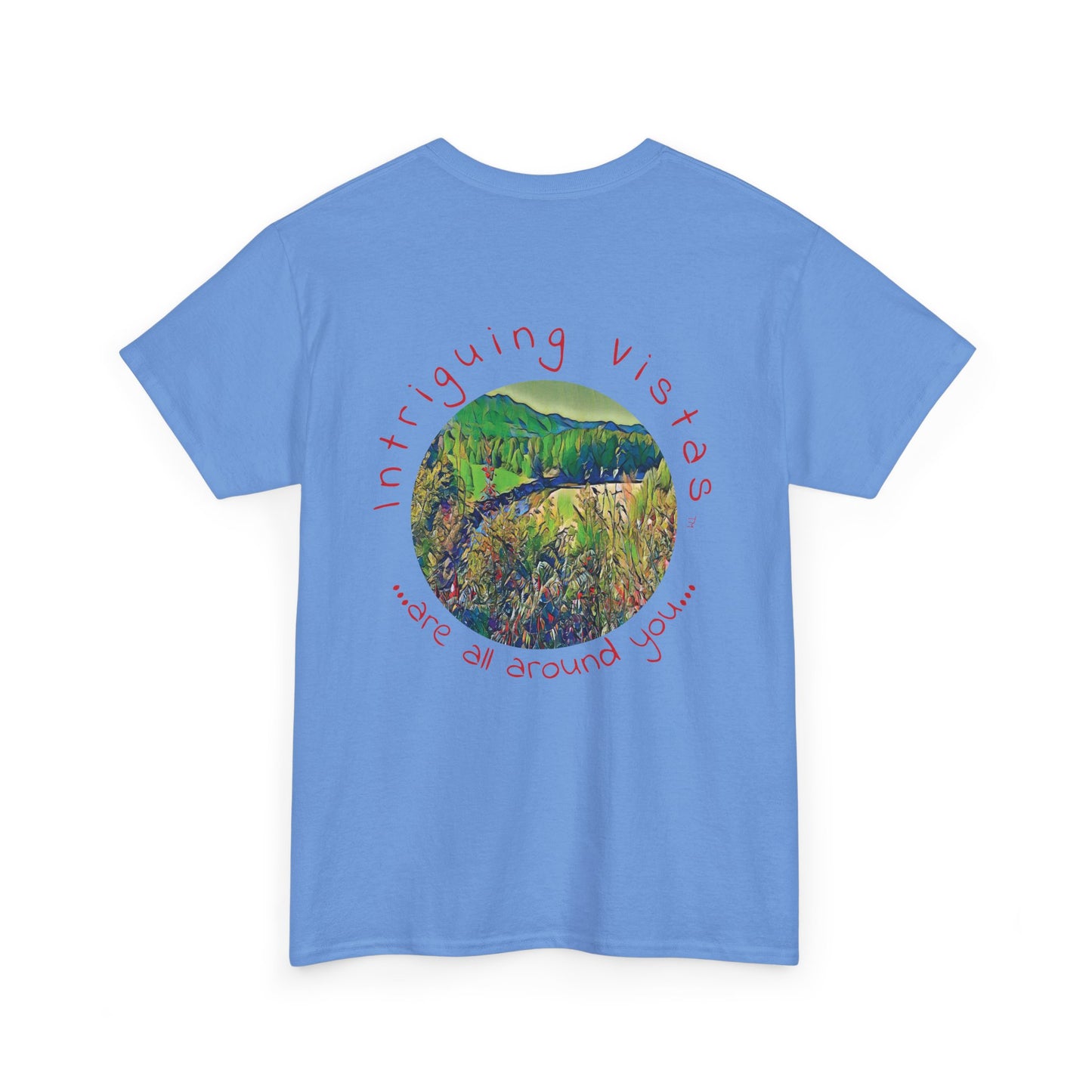 Gildan 5000 Unisex Adult Heavy Cotton Tee from the Scenery Series at Intriguing Vistas