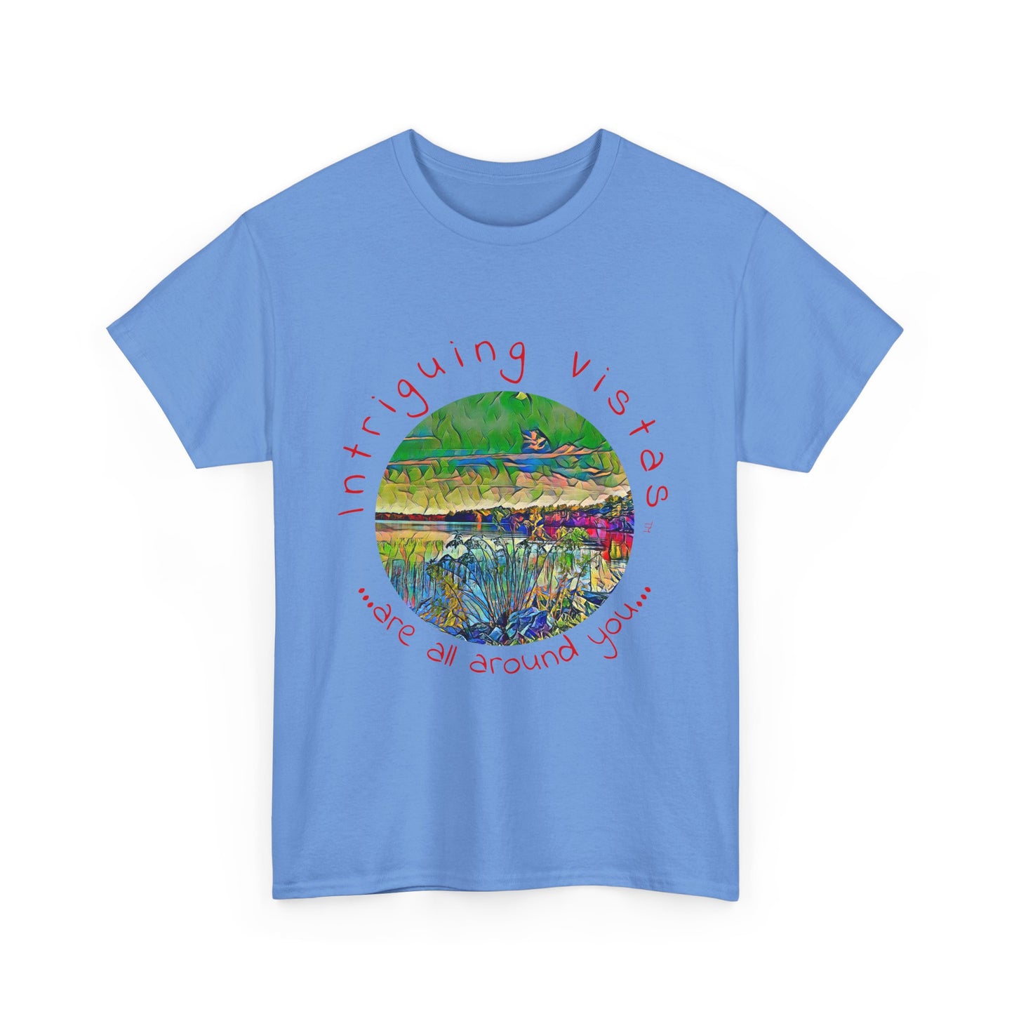 Gildan 5000 Unisex Adult Heavy Cotton Tee from the Scenery Series at Intriguing Vistas