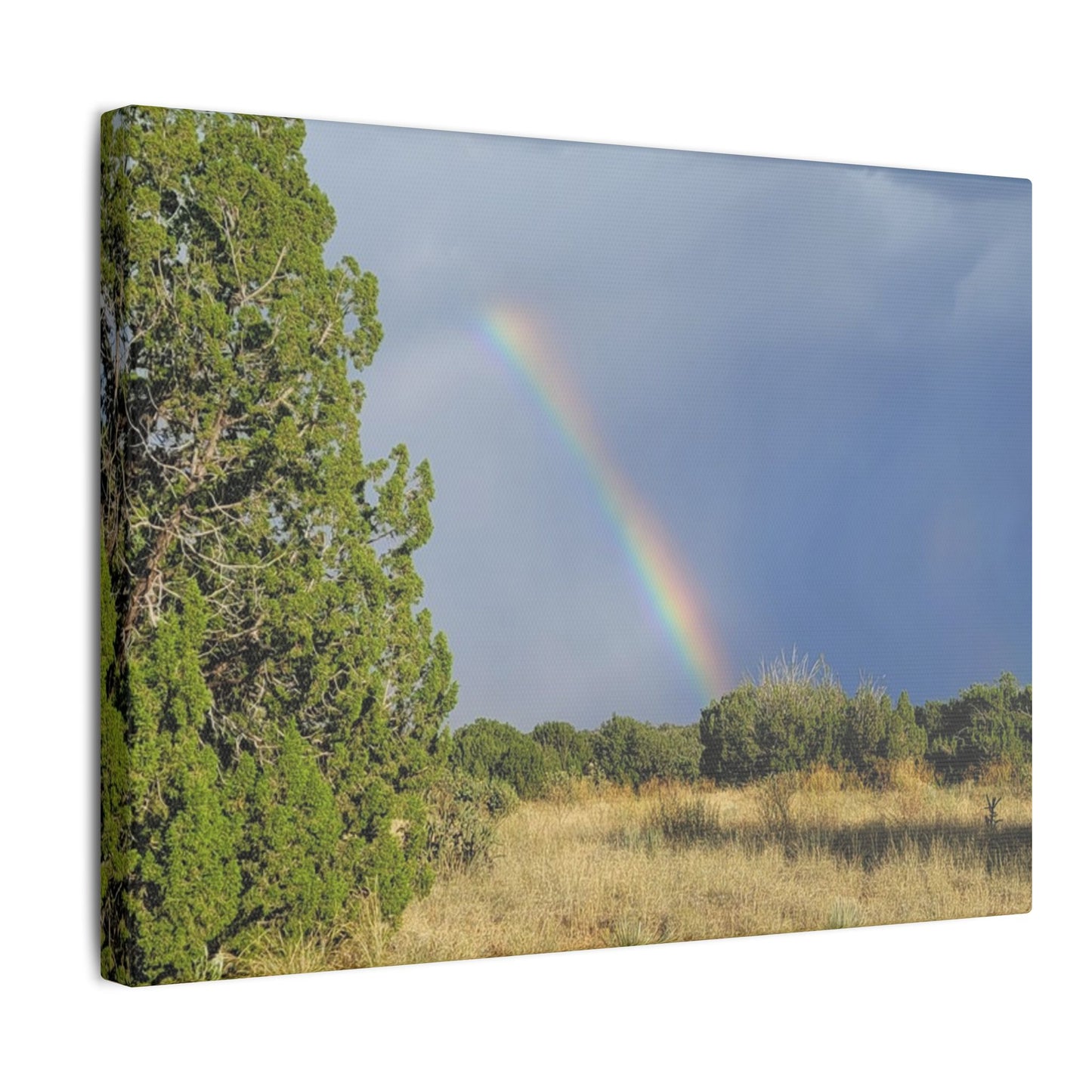 Canvas Print in Multiple Landscape Sizes from the Rainbow Series at Intriguing Vistas