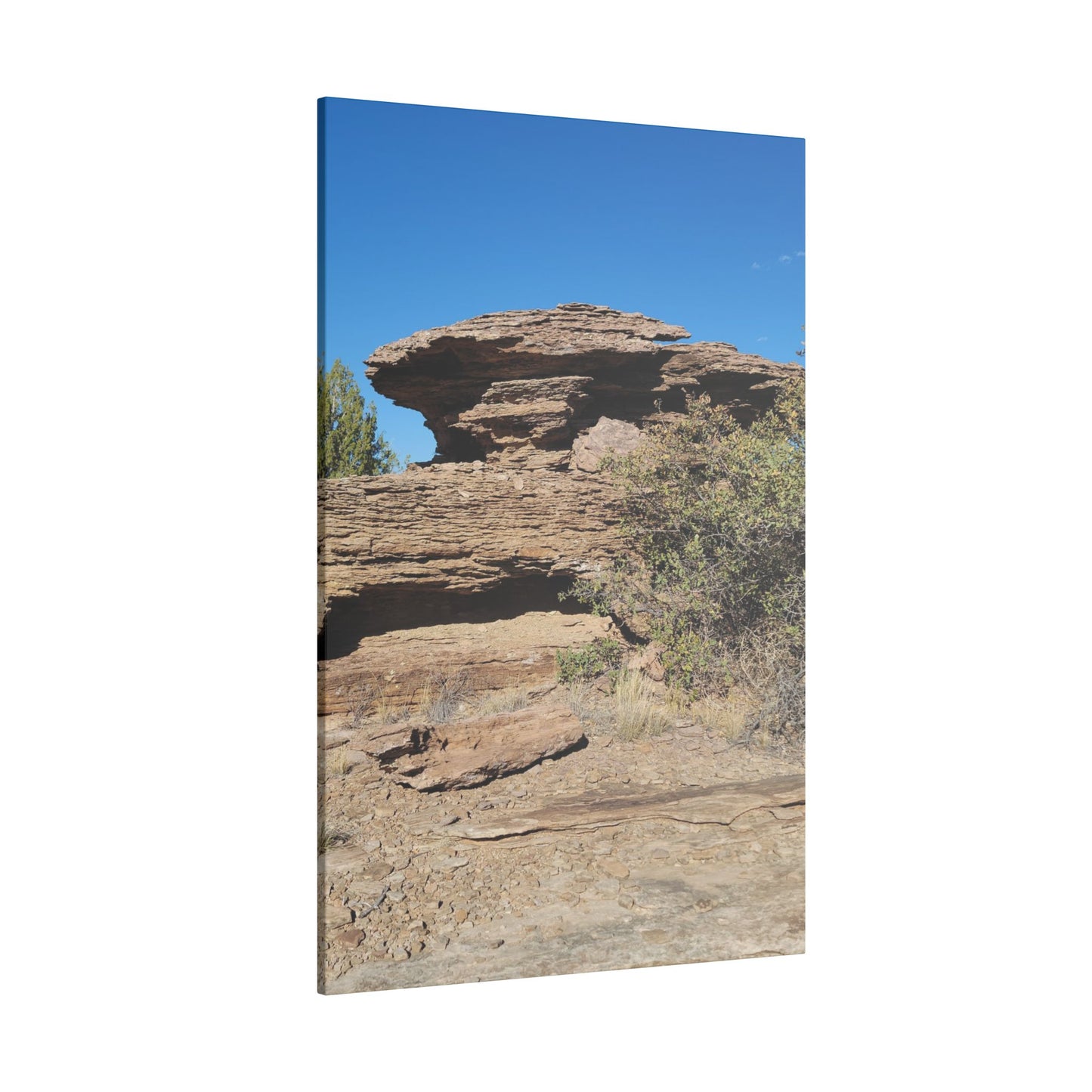 Canvas Print in Multiple Portrait Sizes from the Scenery Series at Intriguing Vistas