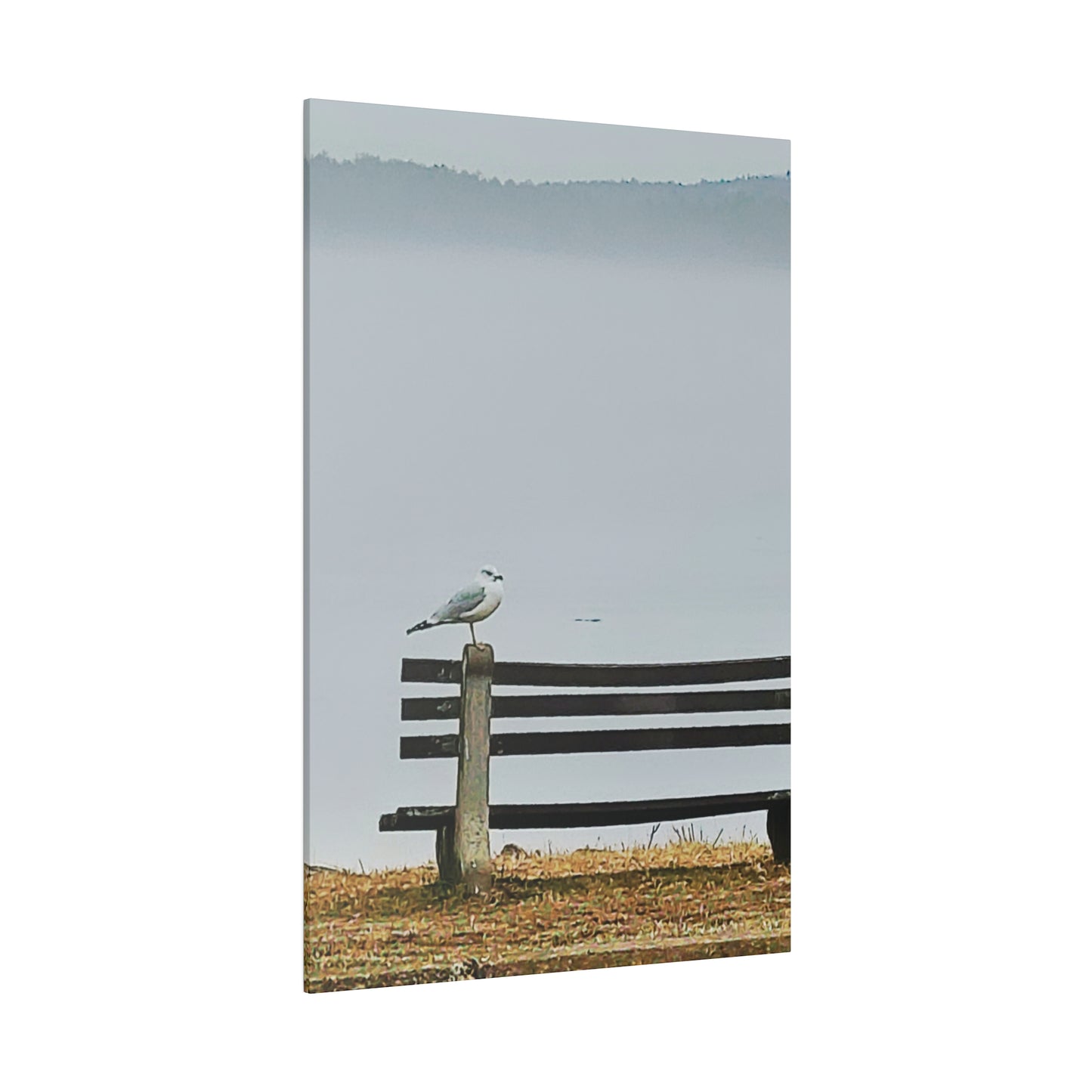 Canvas Print in Multiple Portrait Sizes from the Wildlife Series at Intriguing Vistas