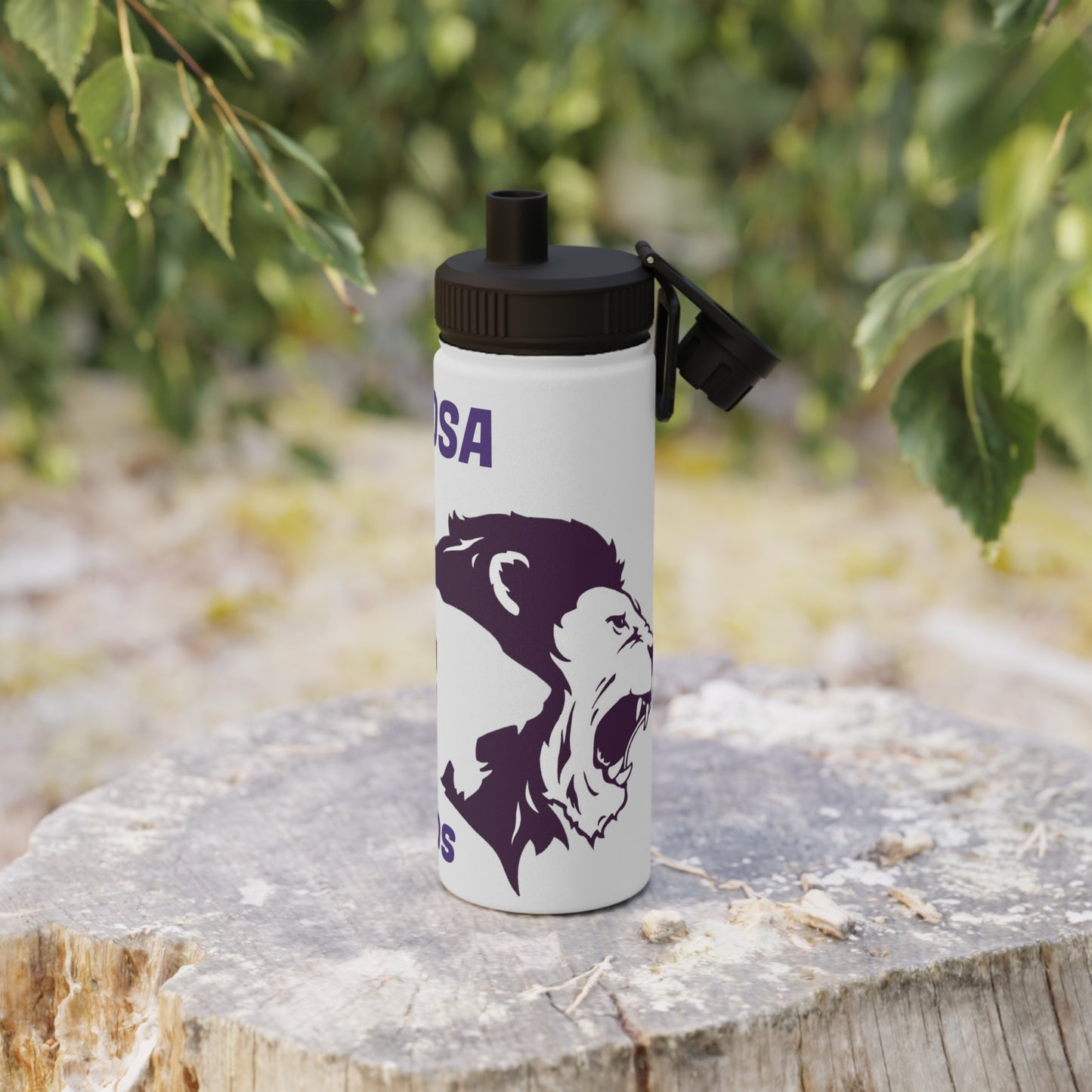 Santa Rosa Stainless Steel Water Bottle, Sports Lid