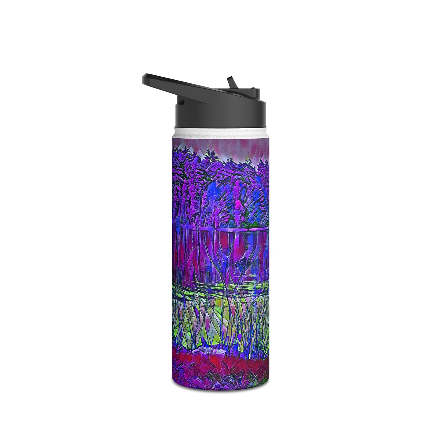 Intriguing Vistas™ Series Stainless Steel Water Bottle, Standard Lid