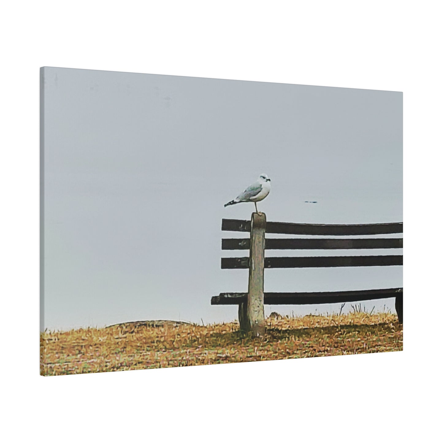 Canvas Print in Multiple Landscape Sizes from the Wildlife Series at Intriguing Vistas