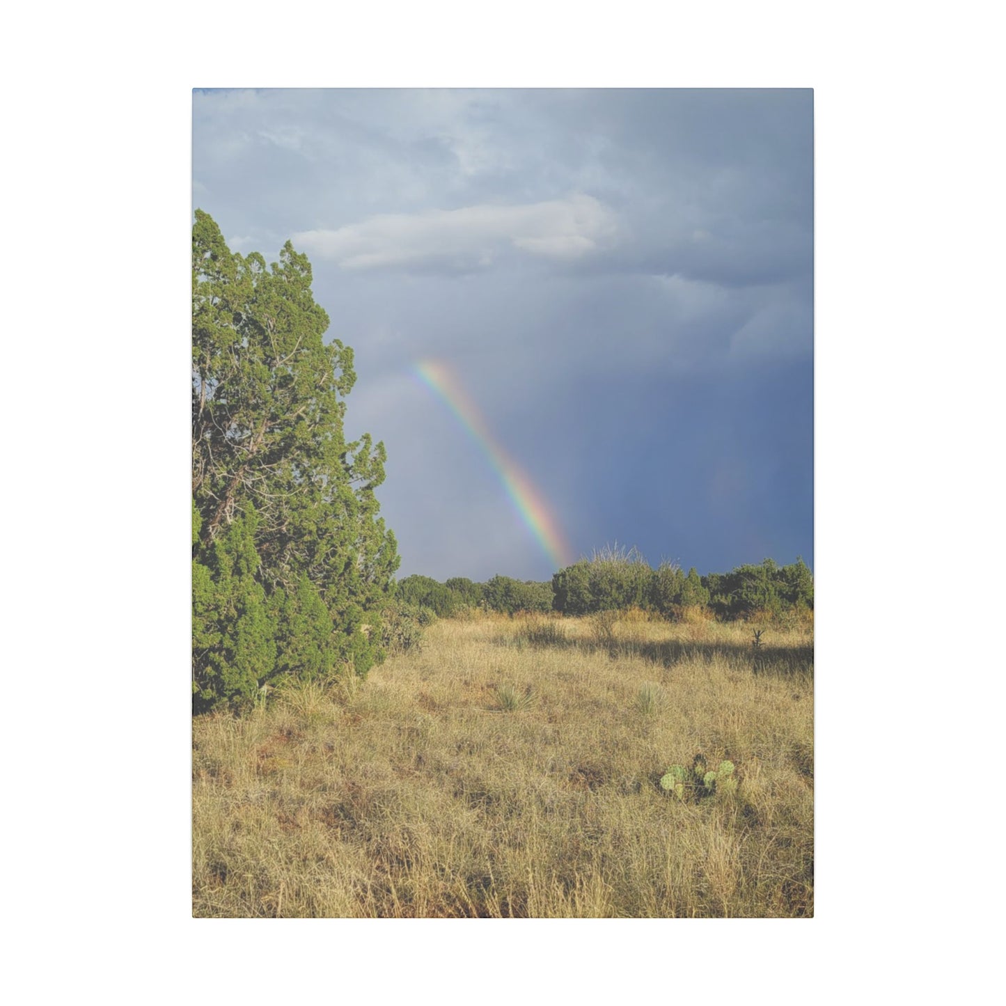 Canvas Print in Multiple Portrait Sizes from the Rainbow Series at Intriguing Vistas