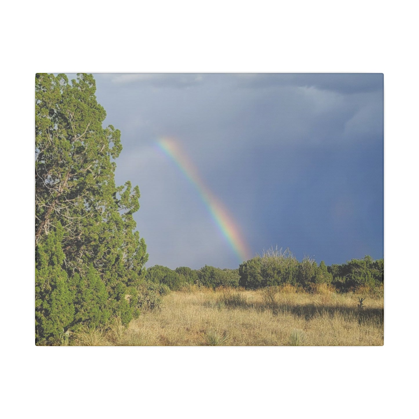 Canvas Print in Multiple Landscape Sizes from the Rainbow Series at Intriguing Vistas