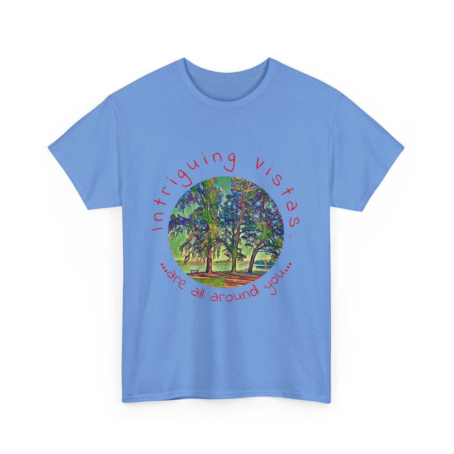 Gildan 5000 Unisex Adult Heavy Cotton Tee from the Scenery Series at Intriguing Vistas