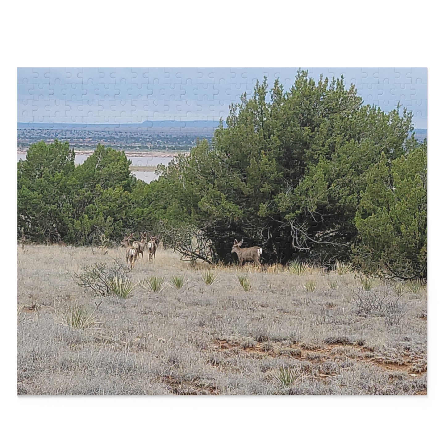 Copy of Intriguing Vistas™ Wildlife Series Jigsaw Puzzle