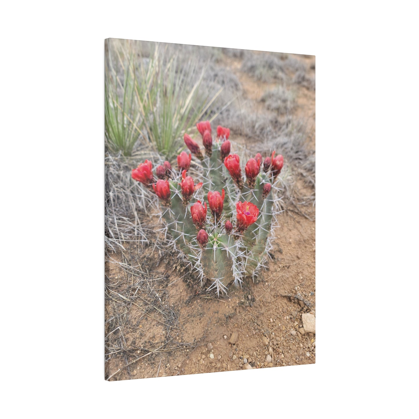 Canvas Print in Multiple Portrait Sizes from the Scenery Series at Intriguing Vistas