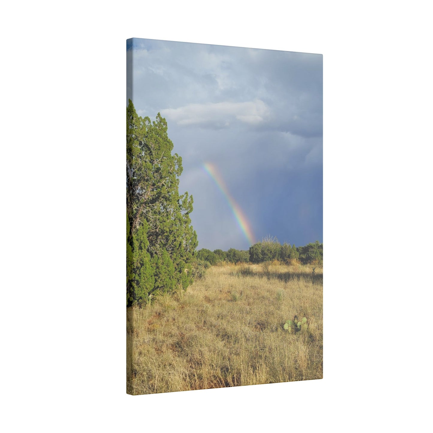 Canvas Print in Multiple Portrait Sizes from the Rainbow Series at Intriguing Vistas