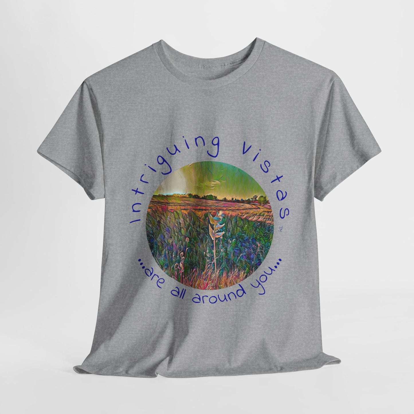 Gildan 5000 Unisex Adult Heavy Cotton Tee from the Scenery Series at Intriguing Vistas