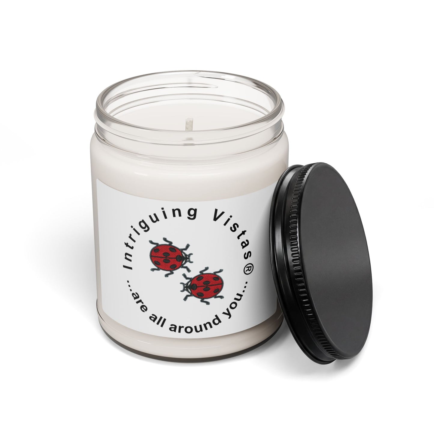 Scented Candle Collection in Five Aromatic Scents and Unique Designs to Suit Your Mood from Intriguing Vistas®