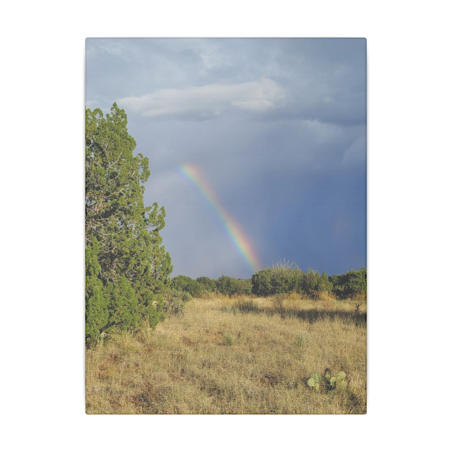 Canvas Print in Multiple Portrait Sizes from the Rainbow Series at Intriguing Vistas