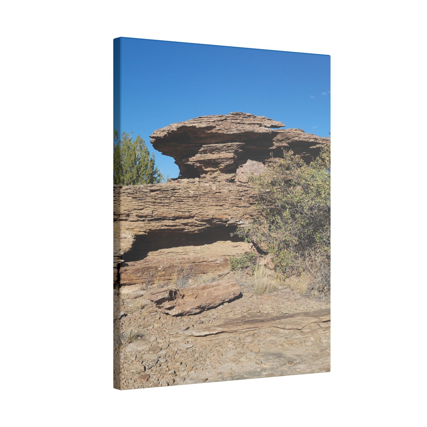 Canvas Print in Multiple Portrait Sizes from the Scenery Series at Intriguing Vistas