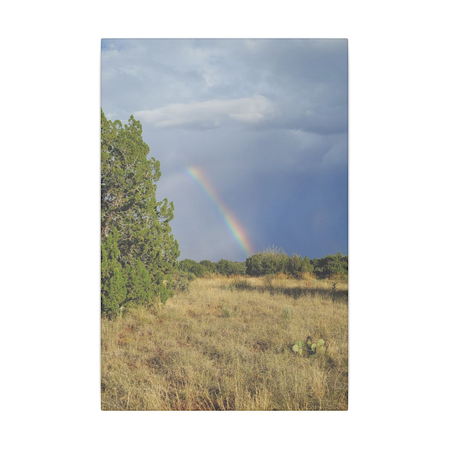 Canvas Print in Multiple Portrait Sizes from the Rainbow Series at Intriguing Vistas