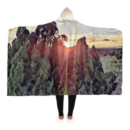 Intriguing Vistas Sunset Series Hooded Blanket copy - Intriguing Vistas
